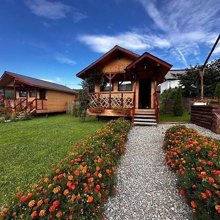 Baltina Parc Transfagarasan Villa Curtea de Argeş Eksteriør bilde