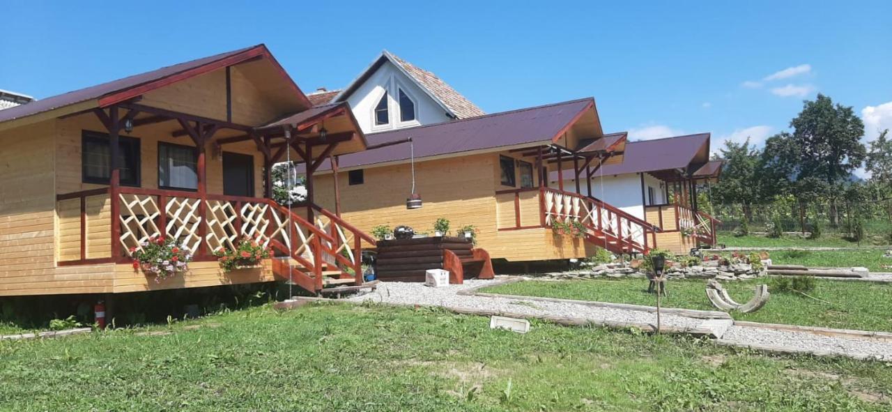 Baltina Parc Transfagarasan Villa Curtea de Argeş Eksteriør bilde