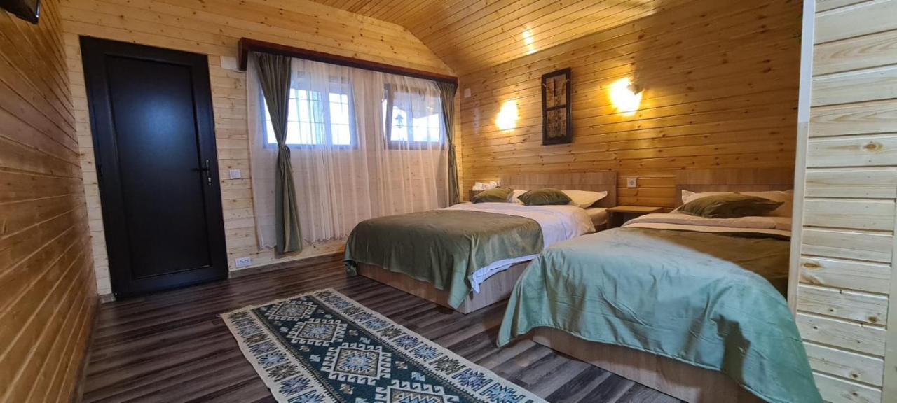Baltina Parc Transfagarasan Villa Curtea de Argeş Eksteriør bilde