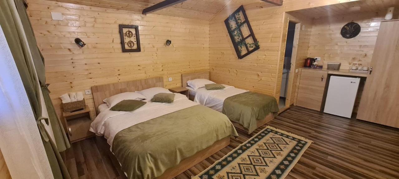 Baltina Parc Transfagarasan Villa Curtea de Argeş Eksteriør bilde