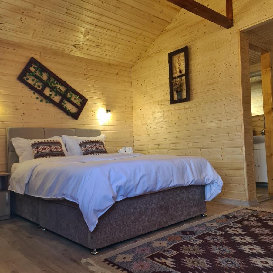 Baltina Parc Transfagarasan Villa Curtea de Argeş Eksteriør bilde