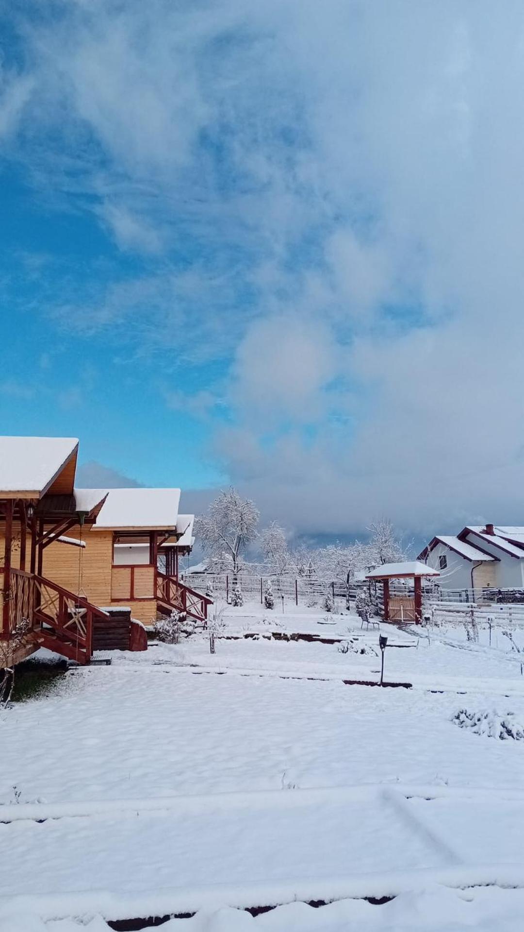 Baltina Parc Transfagarasan Villa Curtea de Argeş Eksteriør bilde