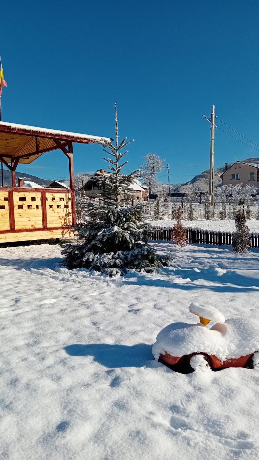 Baltina Parc Transfagarasan Villa Curtea de Argeş Eksteriør bilde