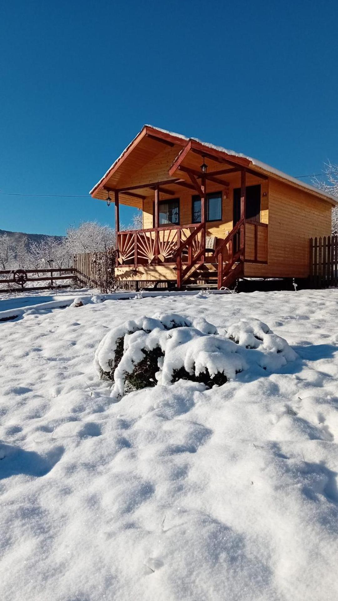 Baltina Parc Transfagarasan Villa Curtea de Argeş Eksteriør bilde