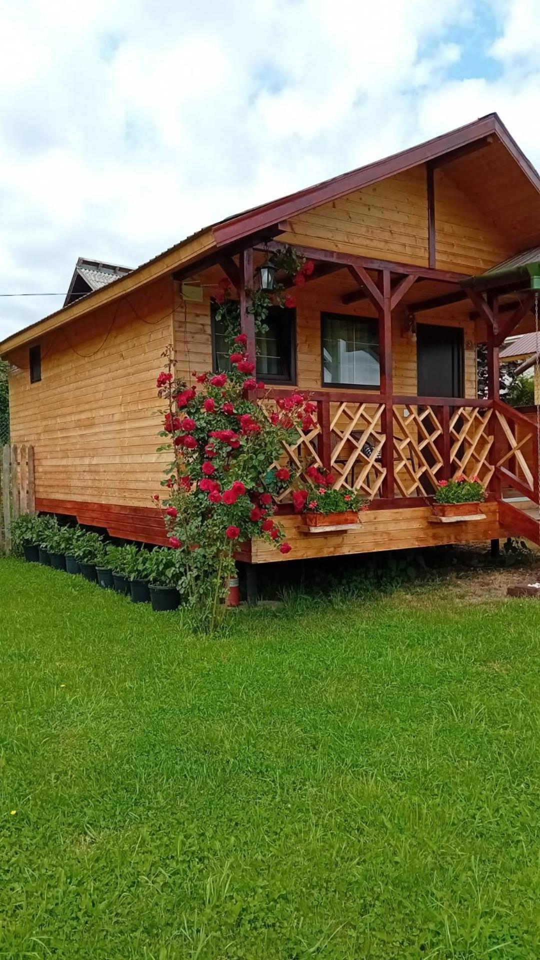 Baltina Parc Transfagarasan Villa Curtea de Argeş Eksteriør bilde