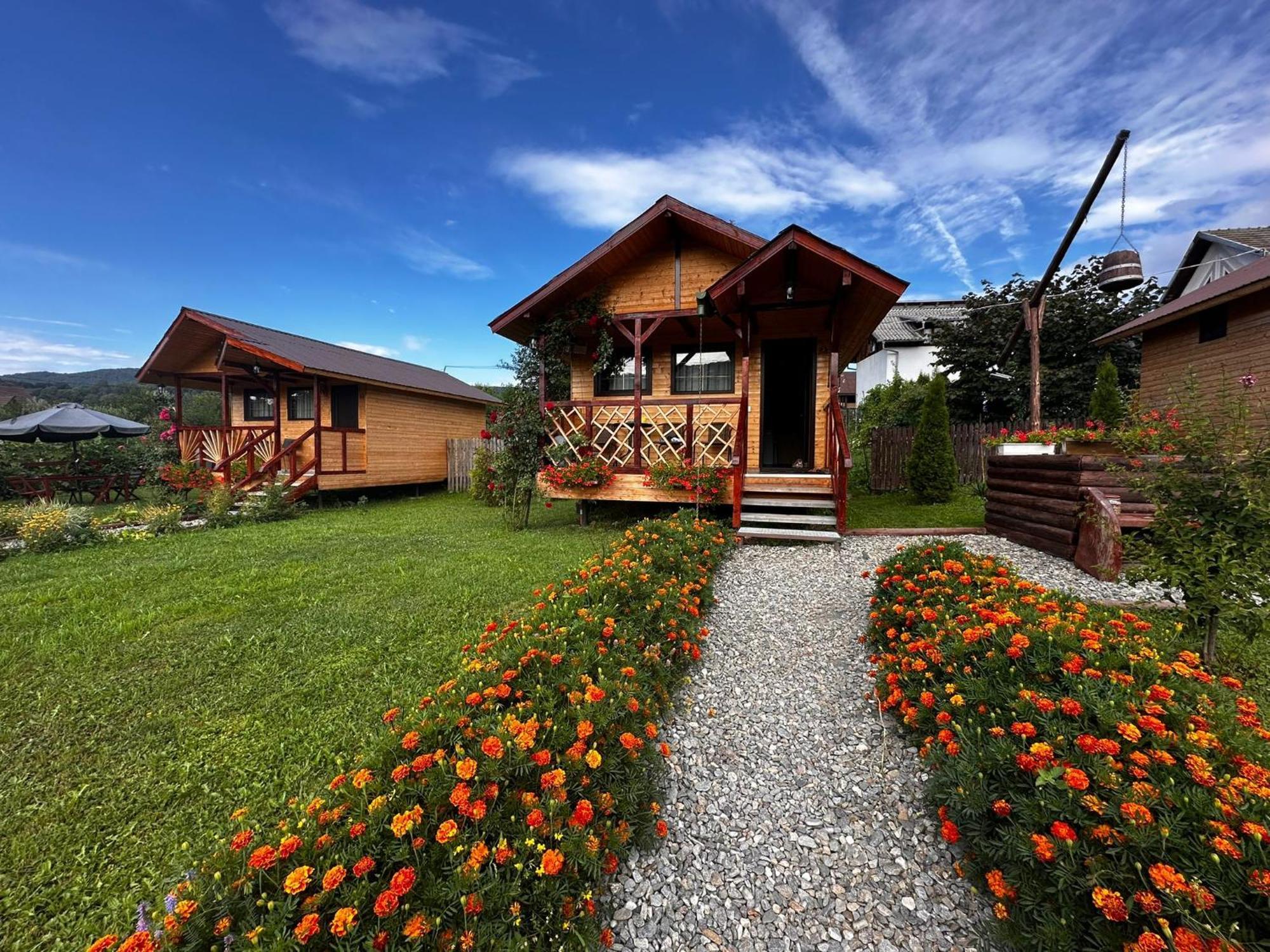 Baltina Parc Transfagarasan Villa Curtea de Argeş Eksteriør bilde